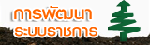 ��þѲ���к��Ҫ���
